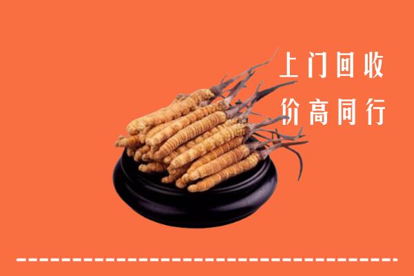 青浦区回收散虫草