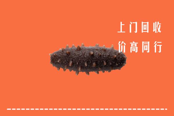 青浦区高价回收海参