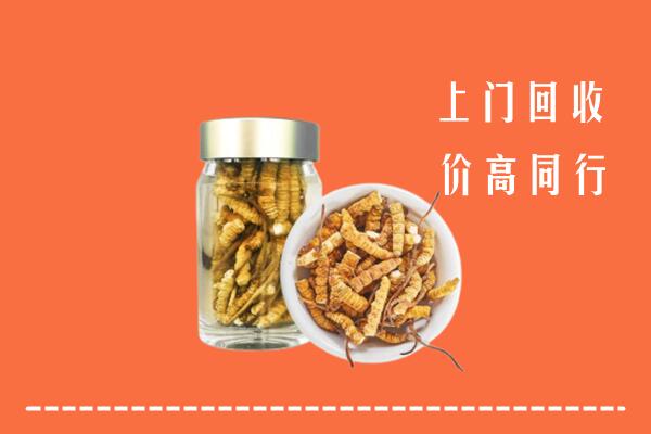青浦区回收冬虫夏草