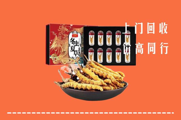 青浦区回收虫草